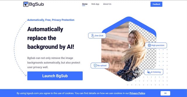 BgSub screenshot 1