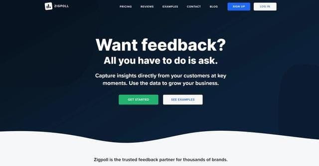 Zigpoll Surveys screenshot 1
