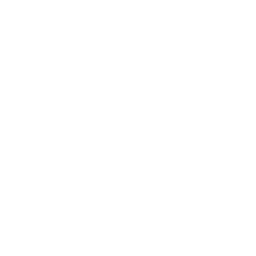 AI is a Joke logo