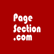 AI page translator - PageSection logo