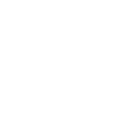 Fini logo